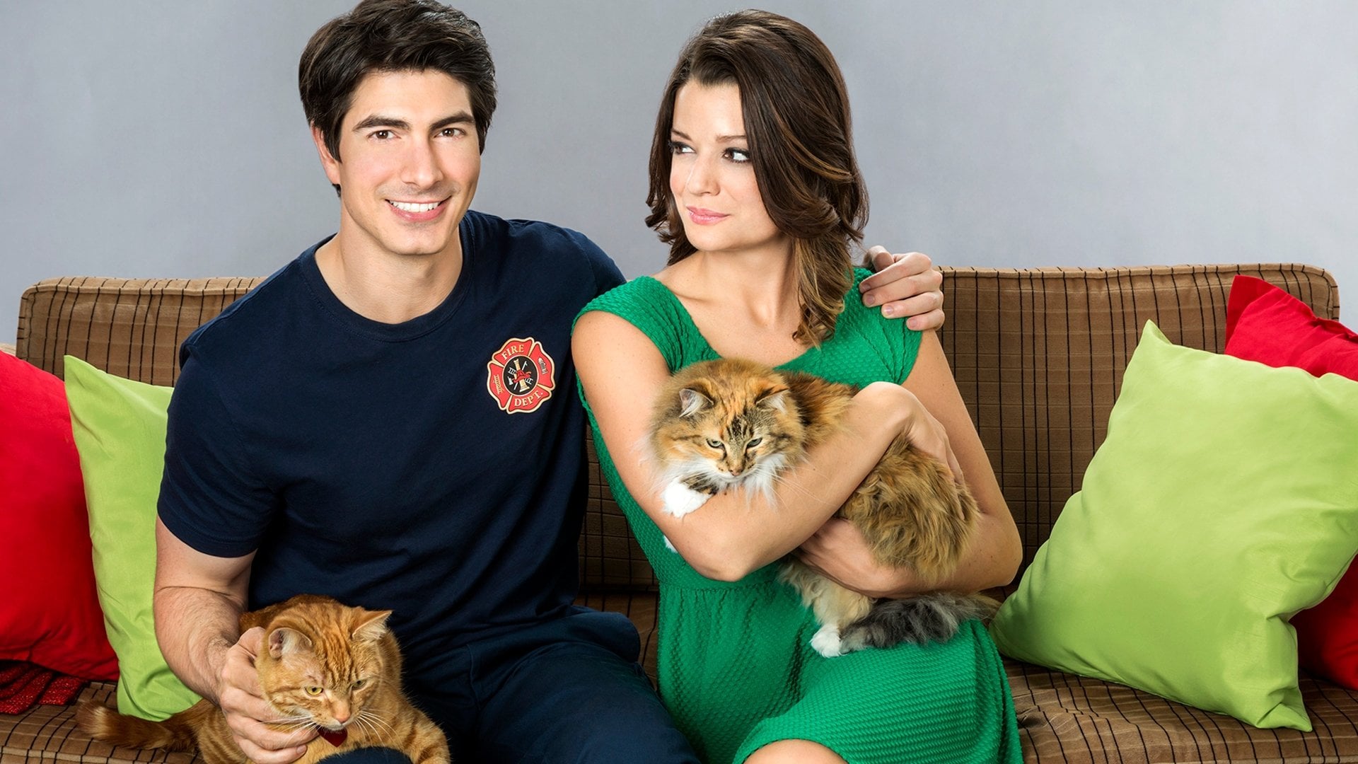 Foto do filme Um Amor Com Sete Vidas