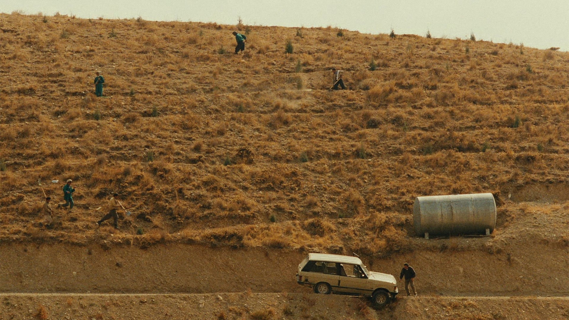 Foto do filme Gosto de Cereja