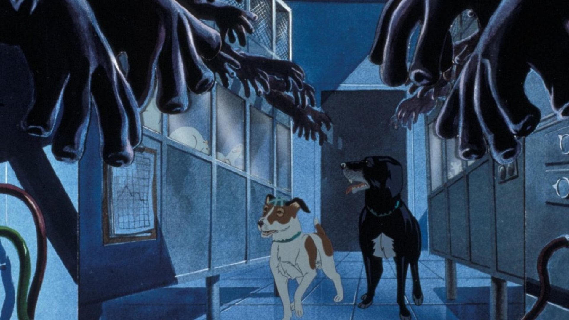 Foto do filme Os Cães Plagueados