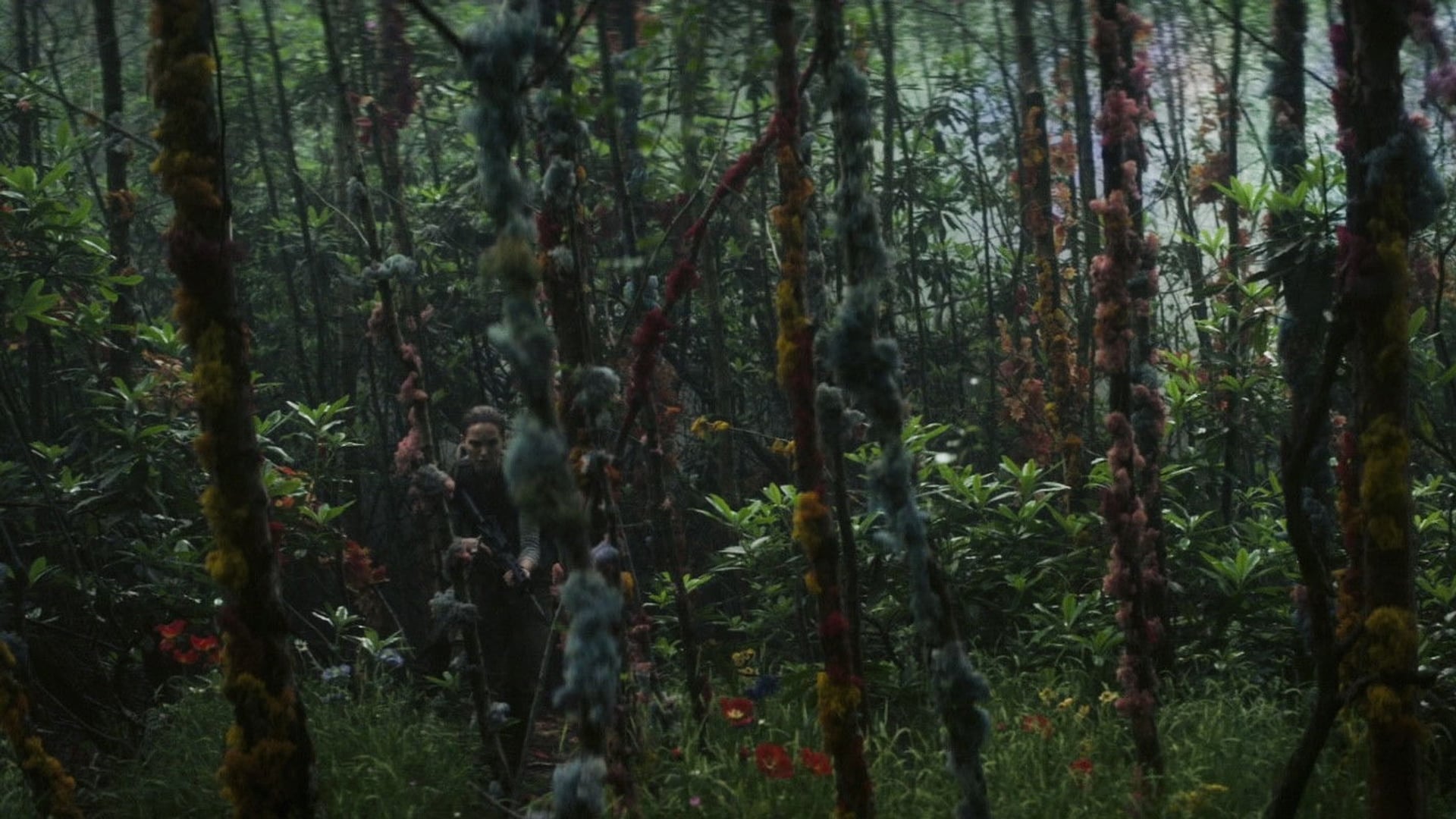 Foto do filme Aniquilação