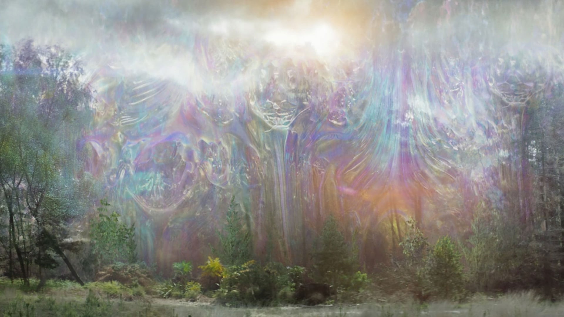 Foto do filme Aniquilação