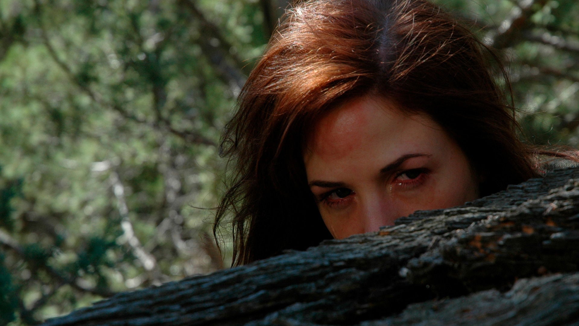 Foto do filme Presa Humana