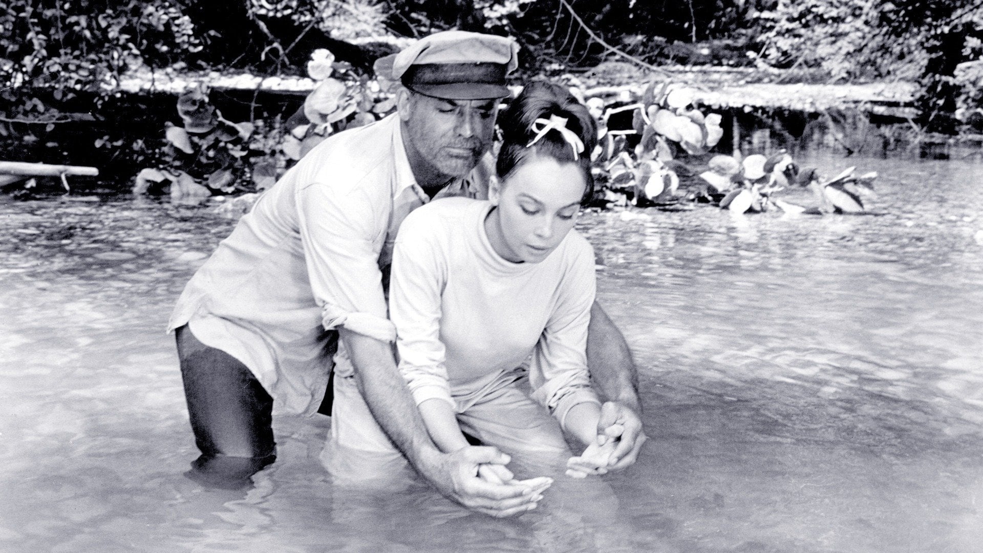 Foto do filme Papai Ganso