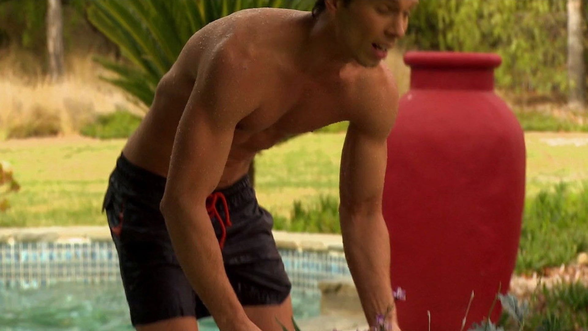 Foto do filme 90210 Shark Attack