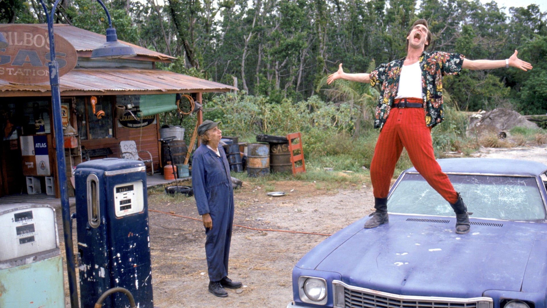Foto do filme Ace Ventura: Um Detetive Diferente