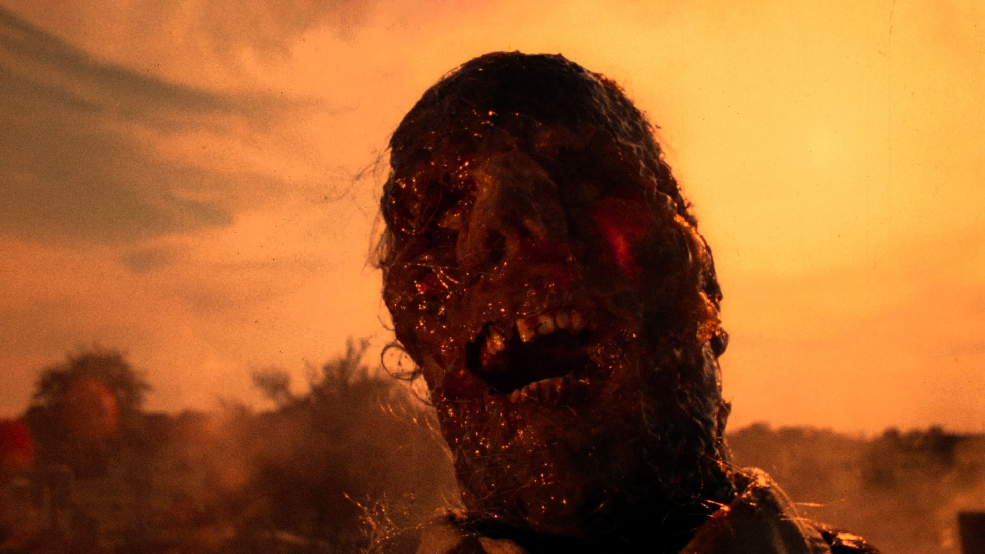 Foto do filme O Massacre da Serra Elétrica