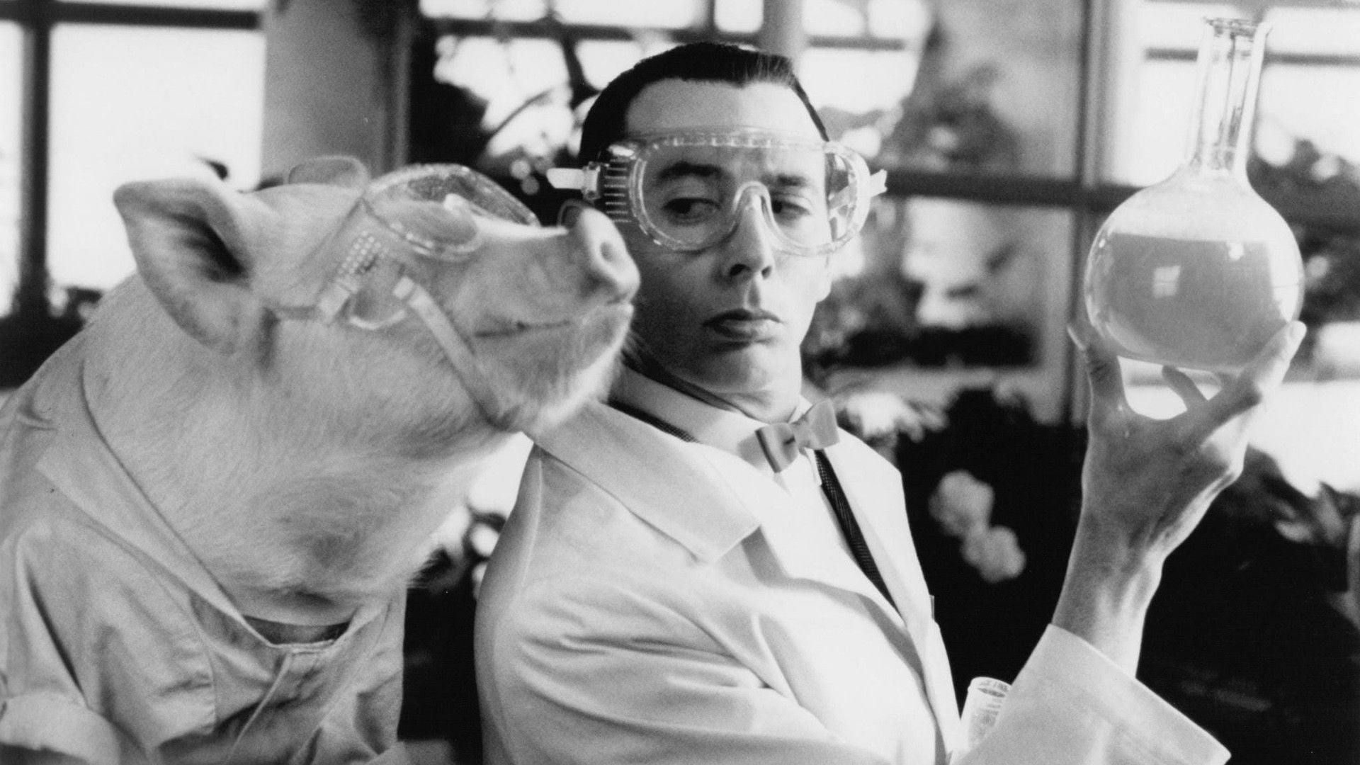 Foto do filme Pee-wee: Meu Filme Circense