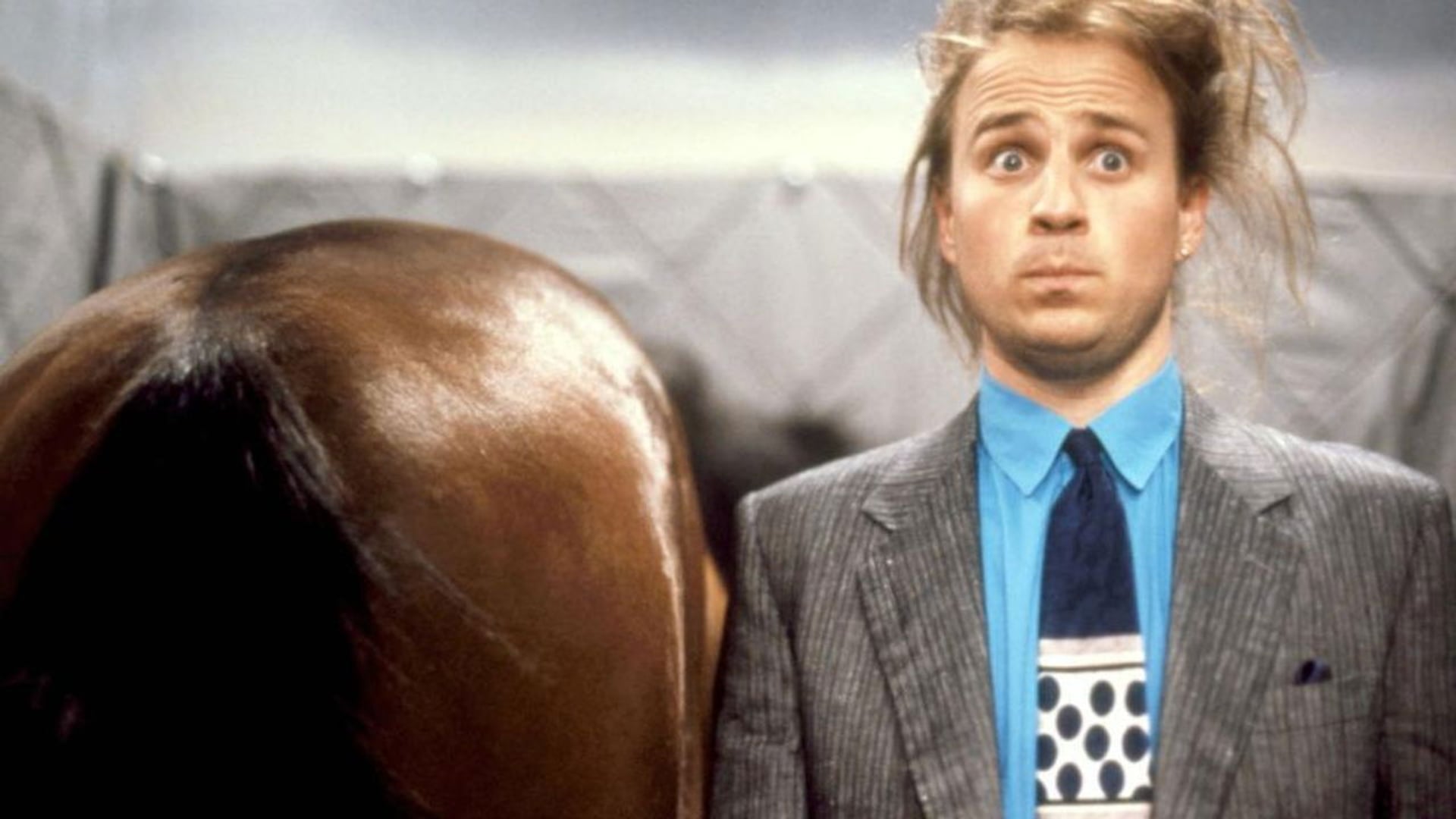 Foto do filme O Cavalo Falante