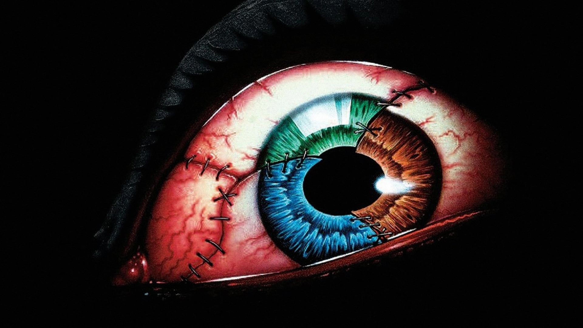 Foto do filme Frankenstein - Terror das Trevas