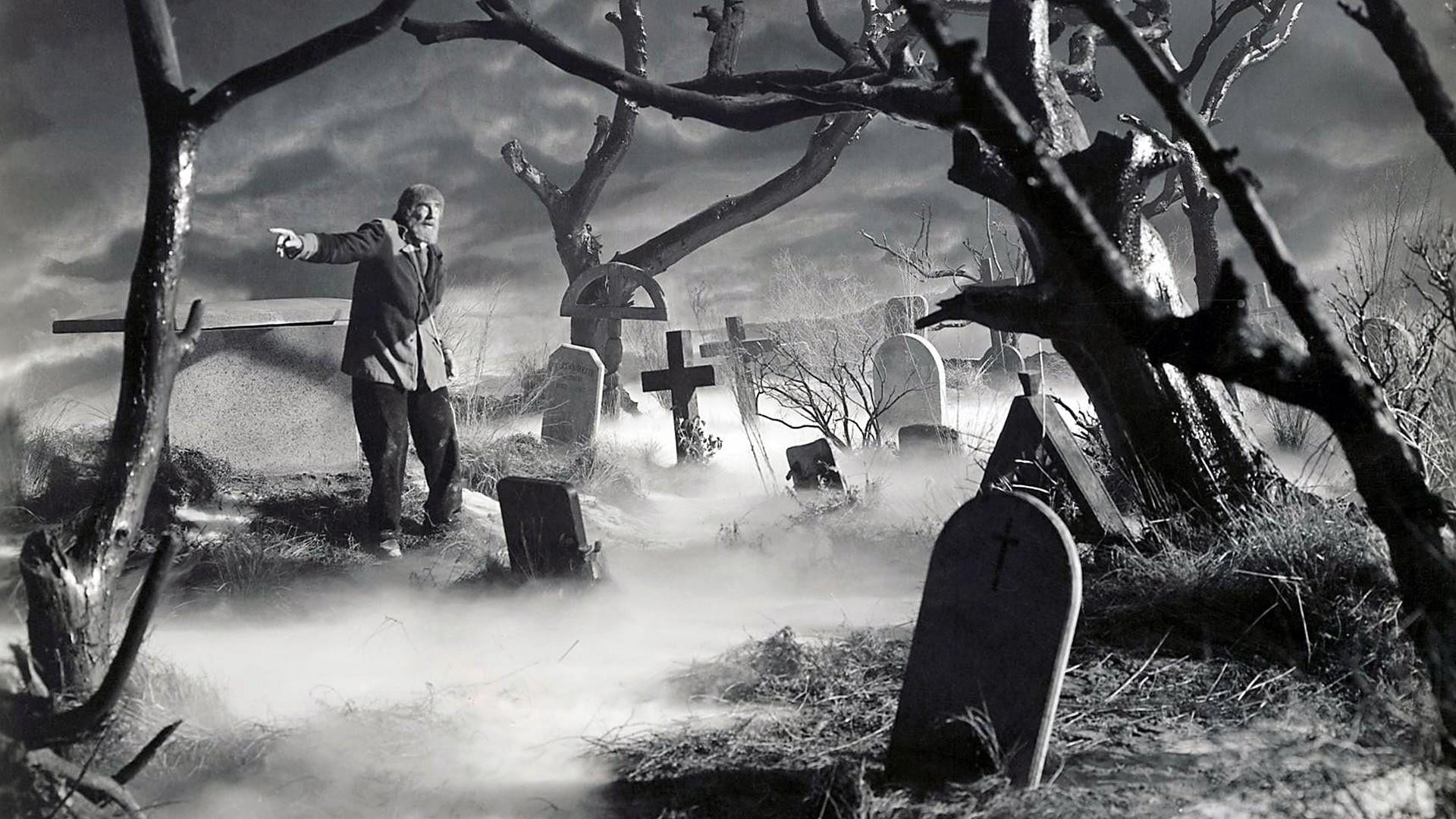 Foto do filme O Filho de Frankenstein
