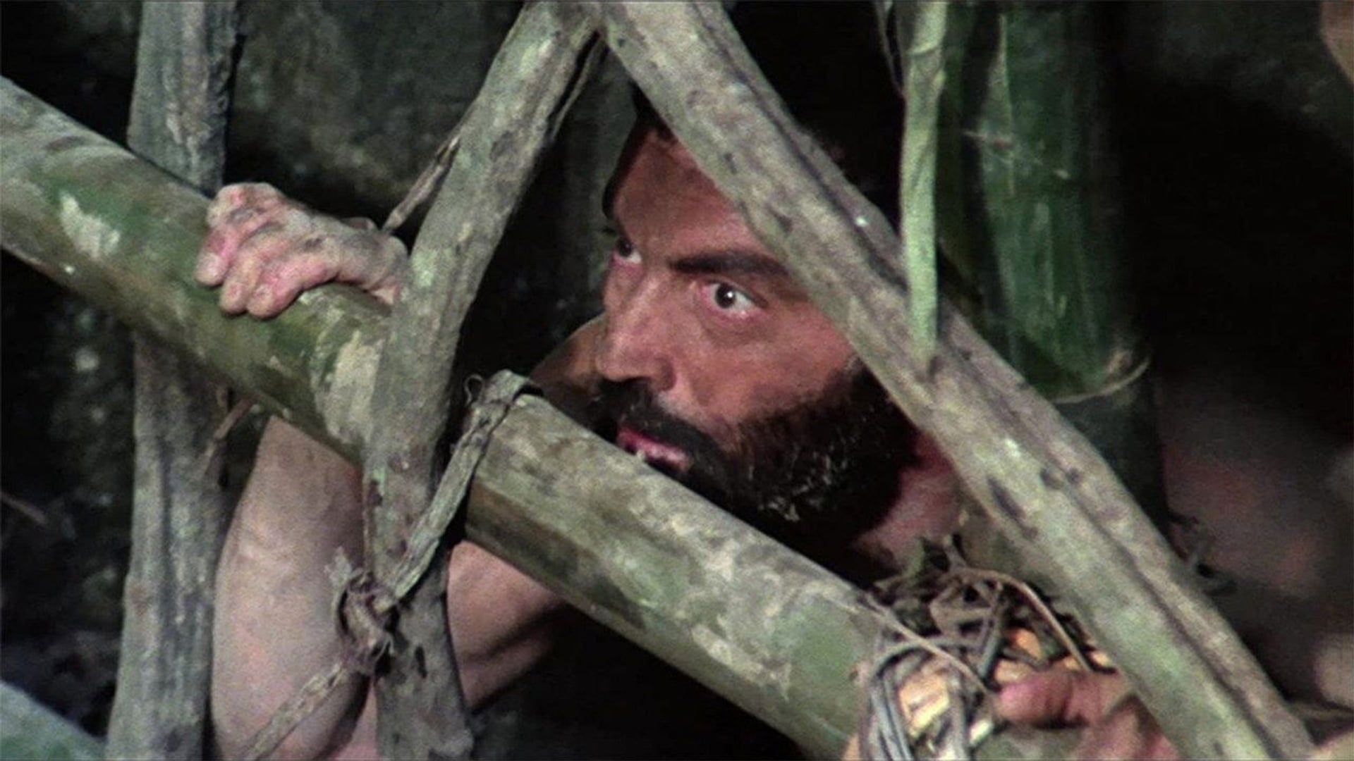 Foto do filme O Último Mundo dos Canibais