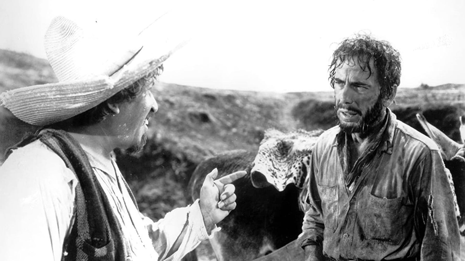 Foto do filme O Tesouro de Sierra Madre