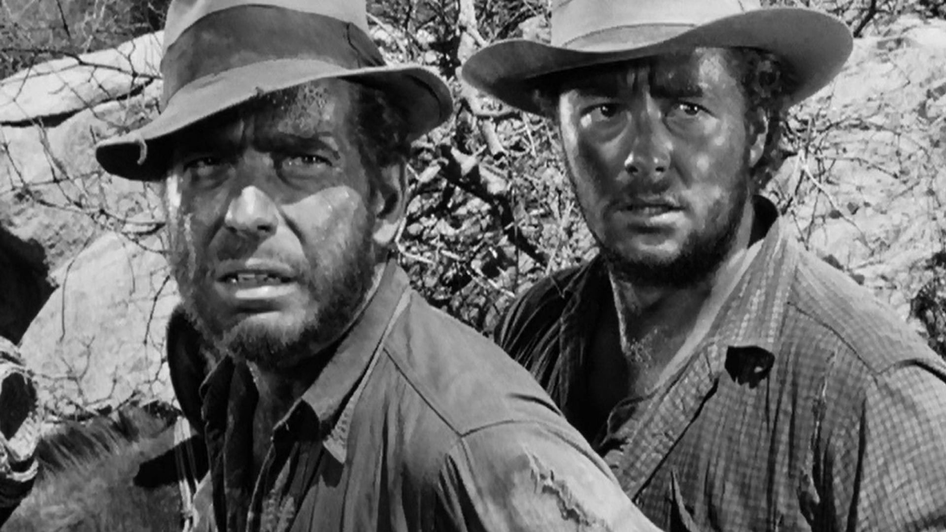 Foto do filme O Tesouro de Sierra Madre