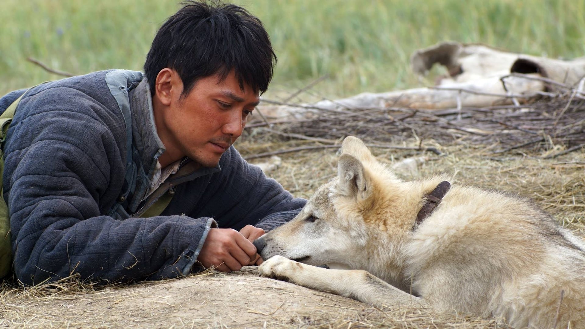 Foto do filme Espírito de Lobo