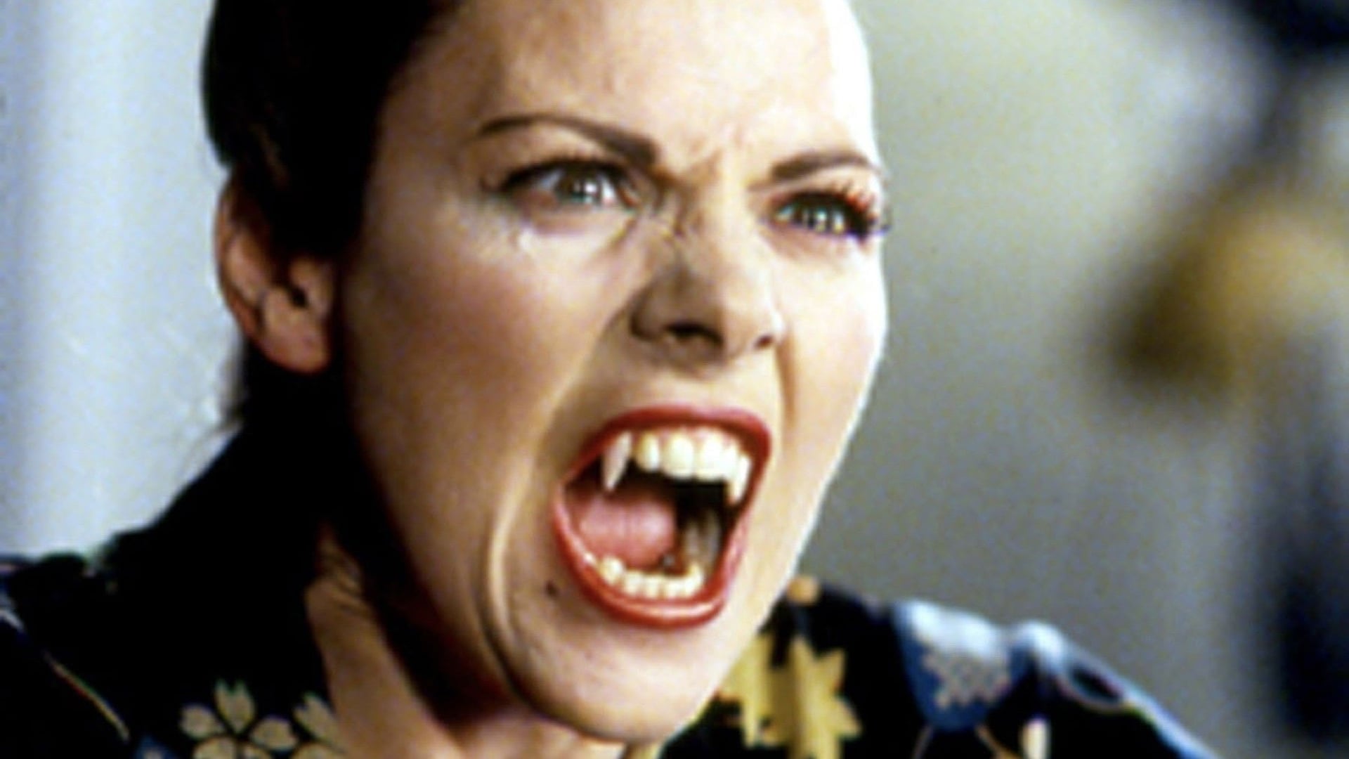 Foto do filme Modern Vampires