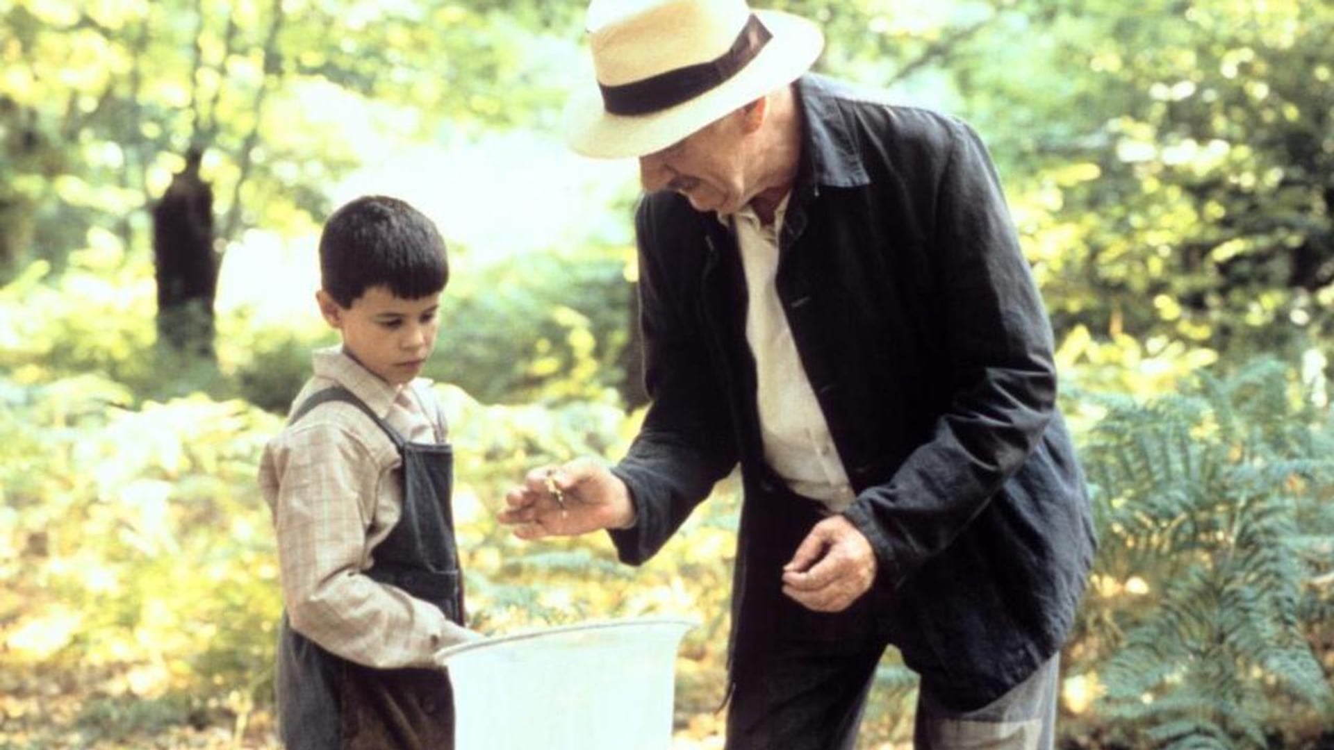 Foto do filme A Língua das Mariposas