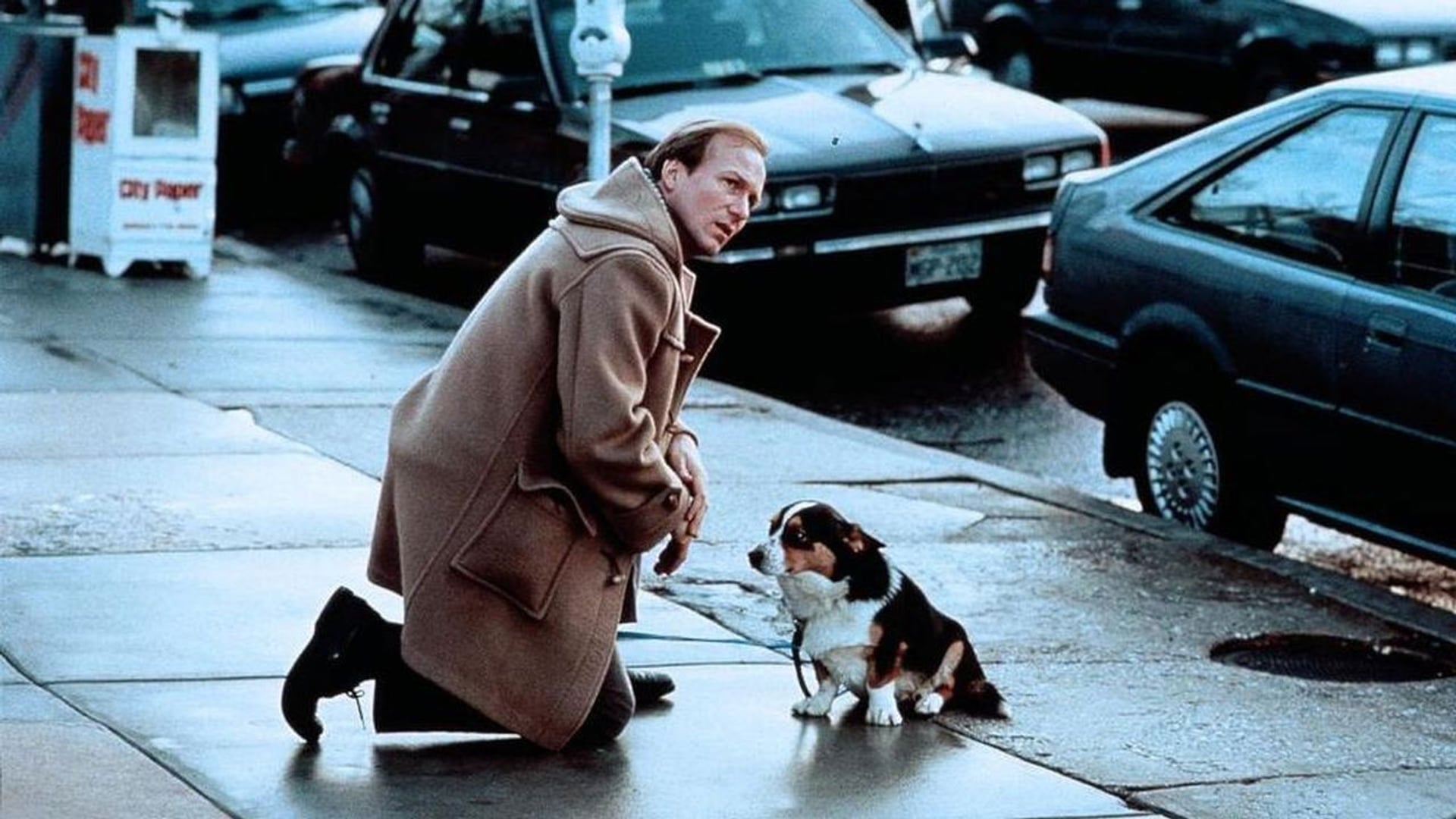 Foto do filme O Turista Acidental