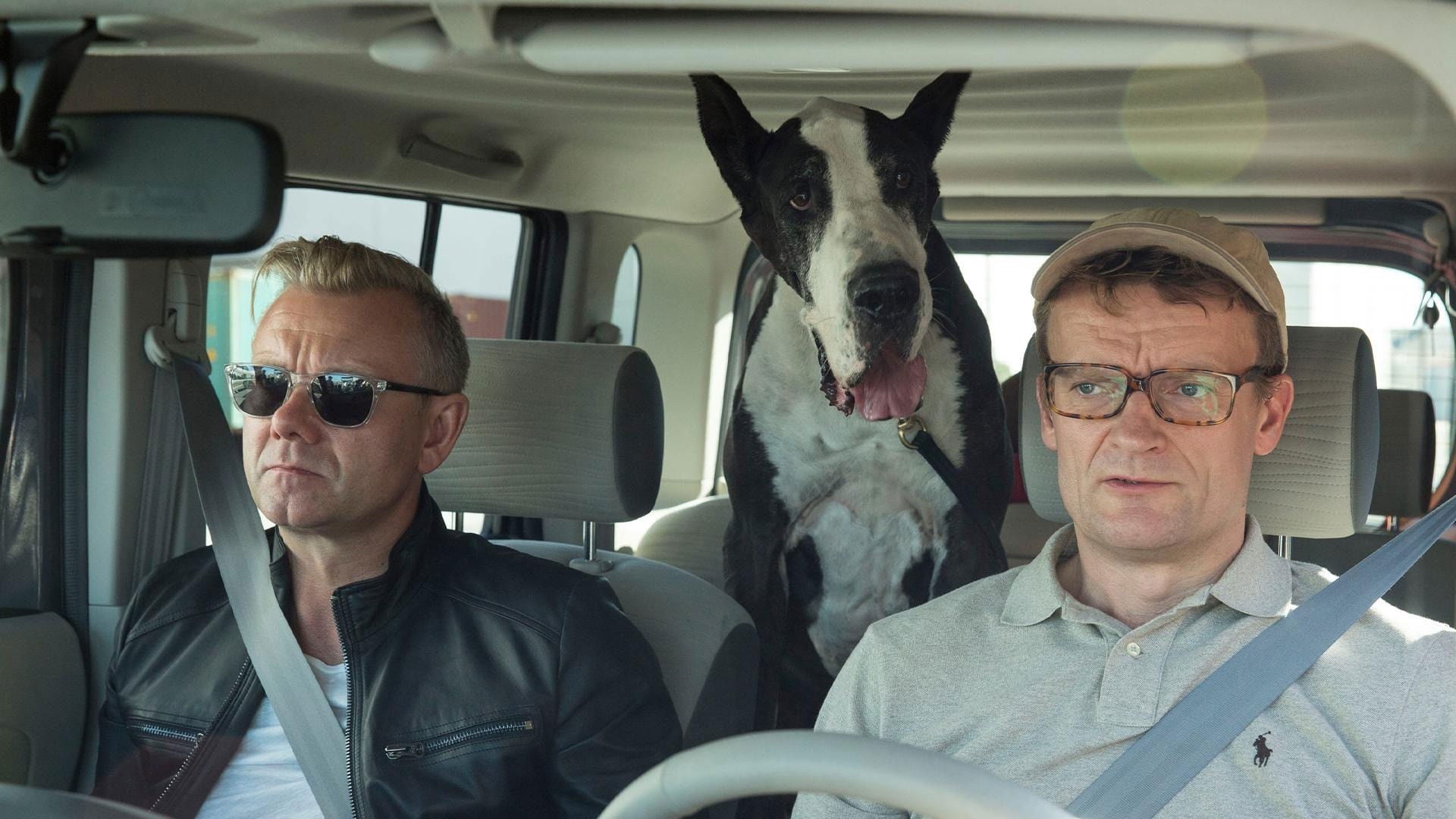 Foto do filme Klovn forever