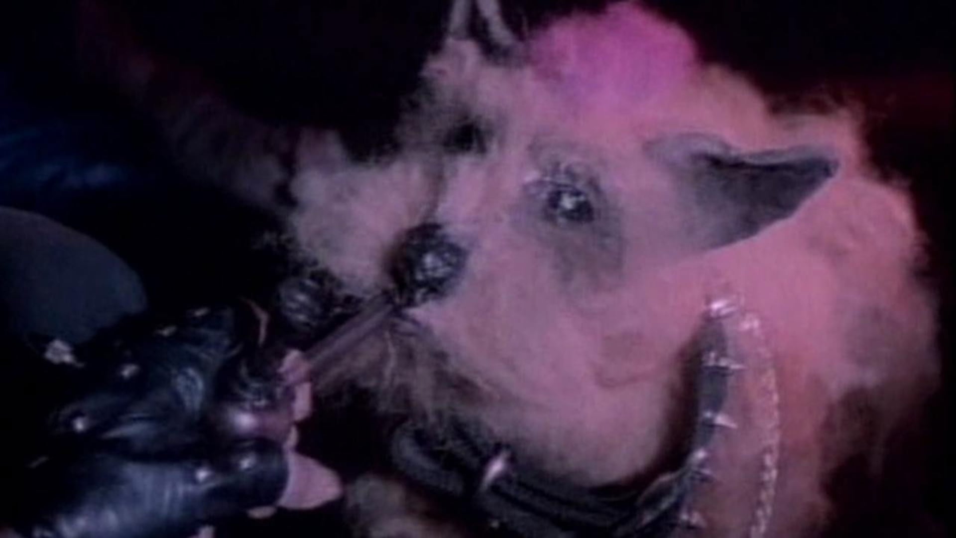 Foto do filme Cutting Moments