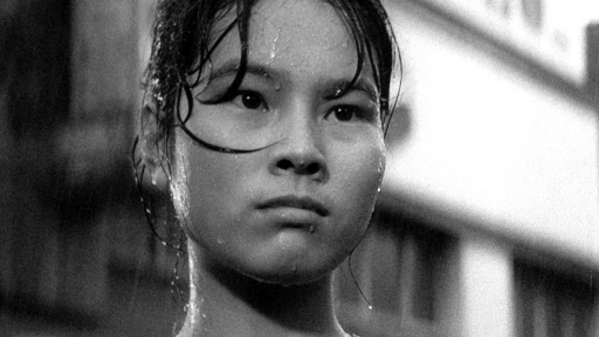 Foto do filme Todos Porcos