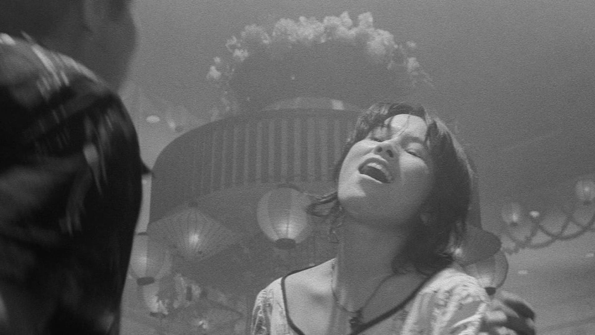 Foto do filme Todos Porcos