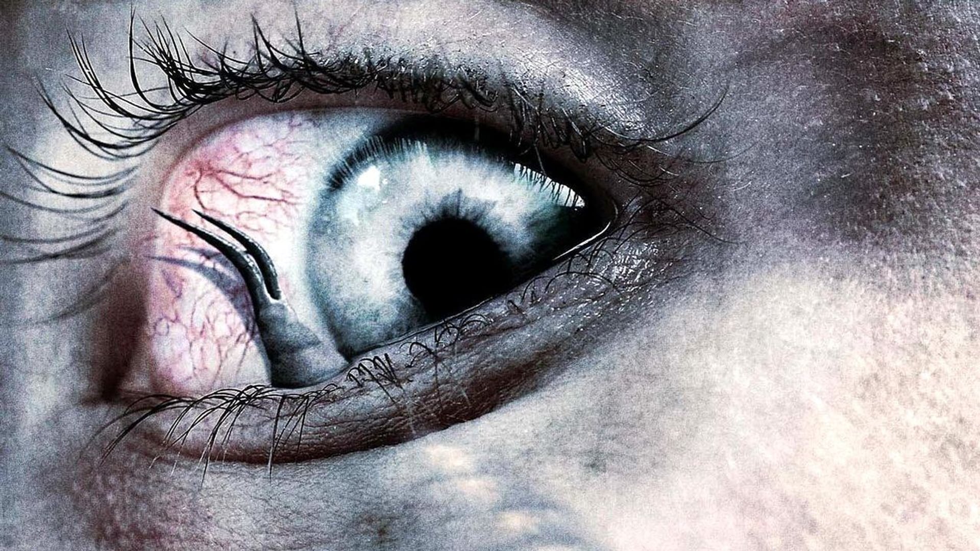 Foto do filme Growth