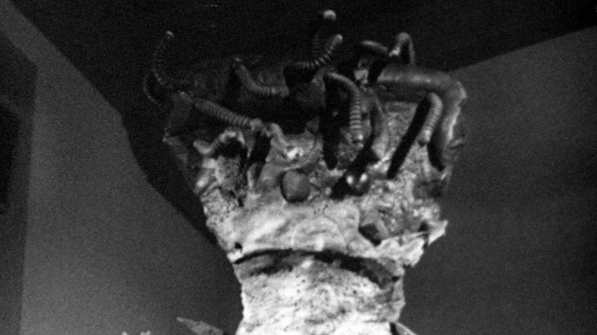 Foto do filme The Creeping Terror