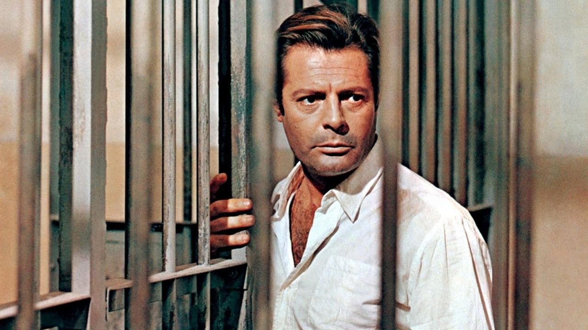 Foto do filme O Estrangeiro