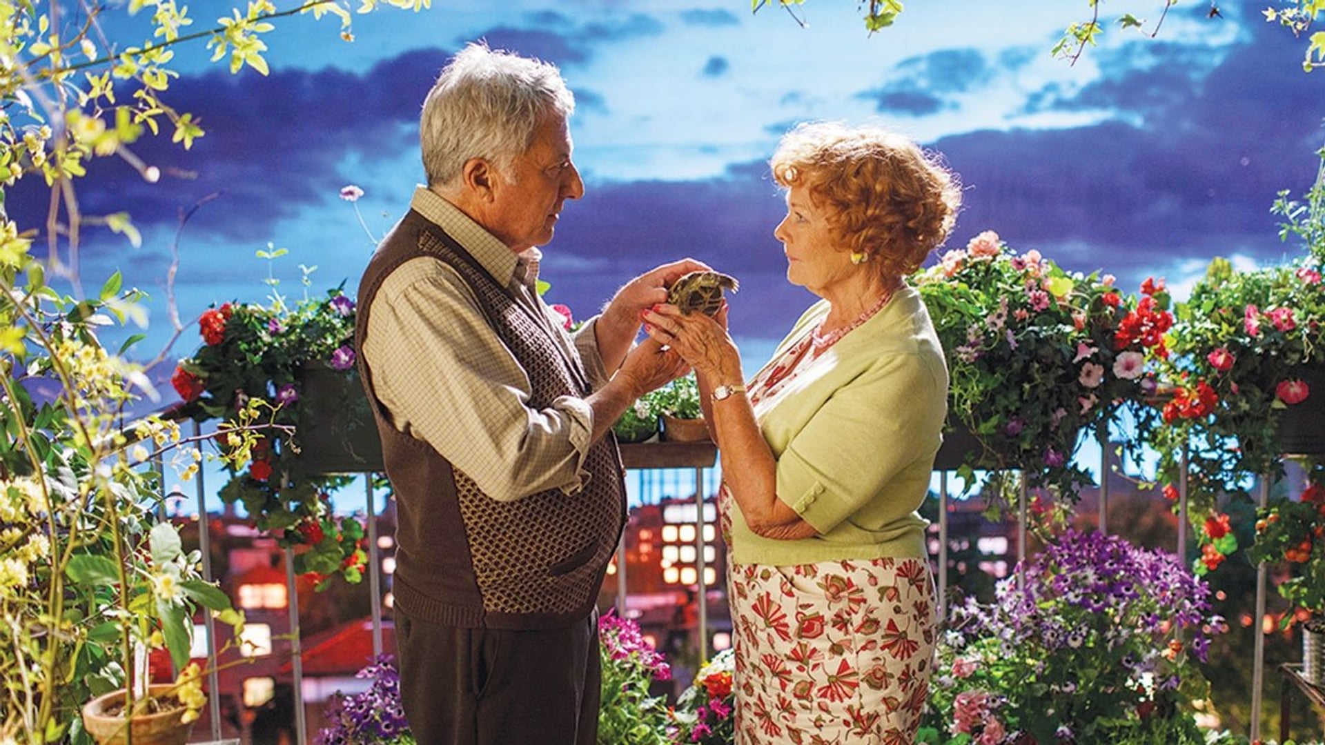 Foto do filme Um Amor de Estimação