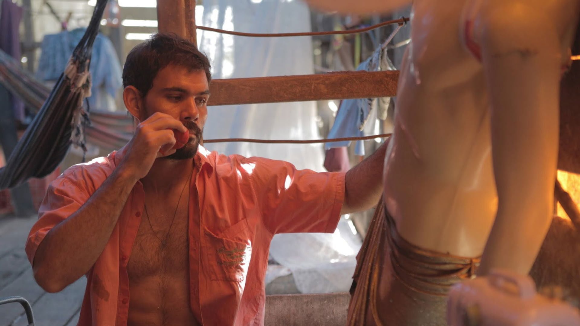 Foto do filme Boi Neon