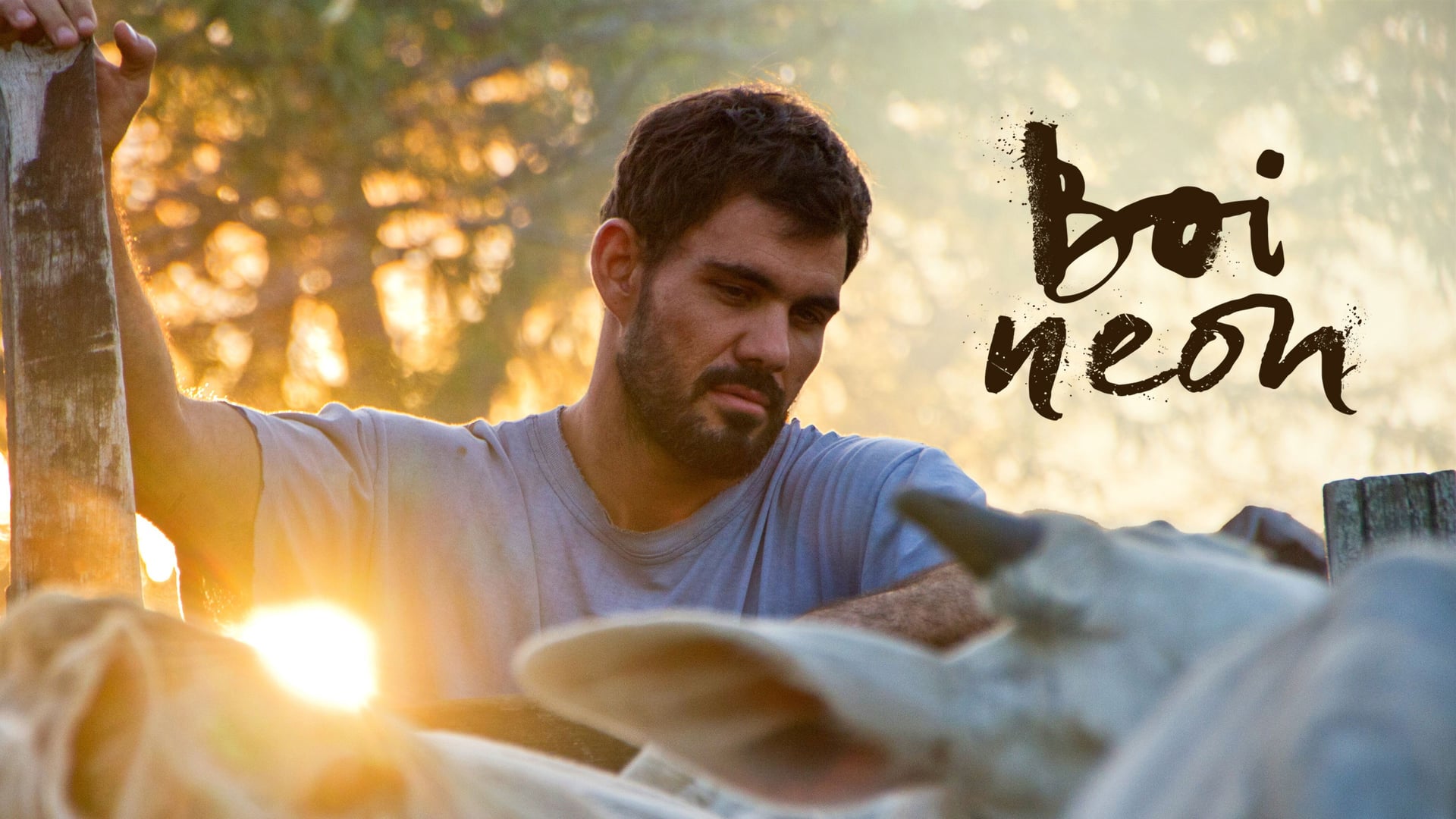 Foto do filme Boi Neon