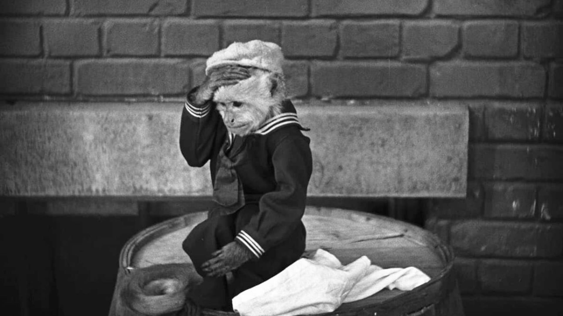 Foto do filme O Homem das Novidades