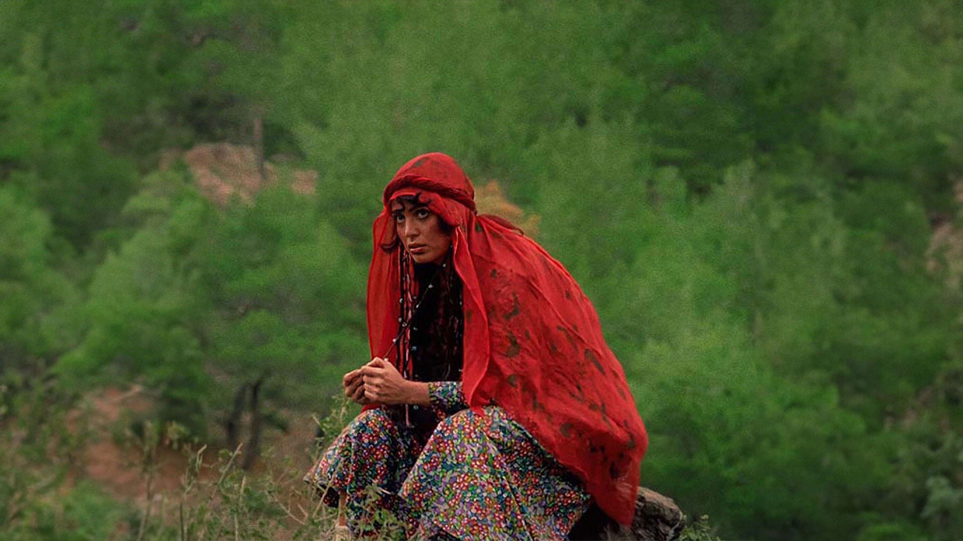 Foto do filme Selvi Boylum Al Yazmalım