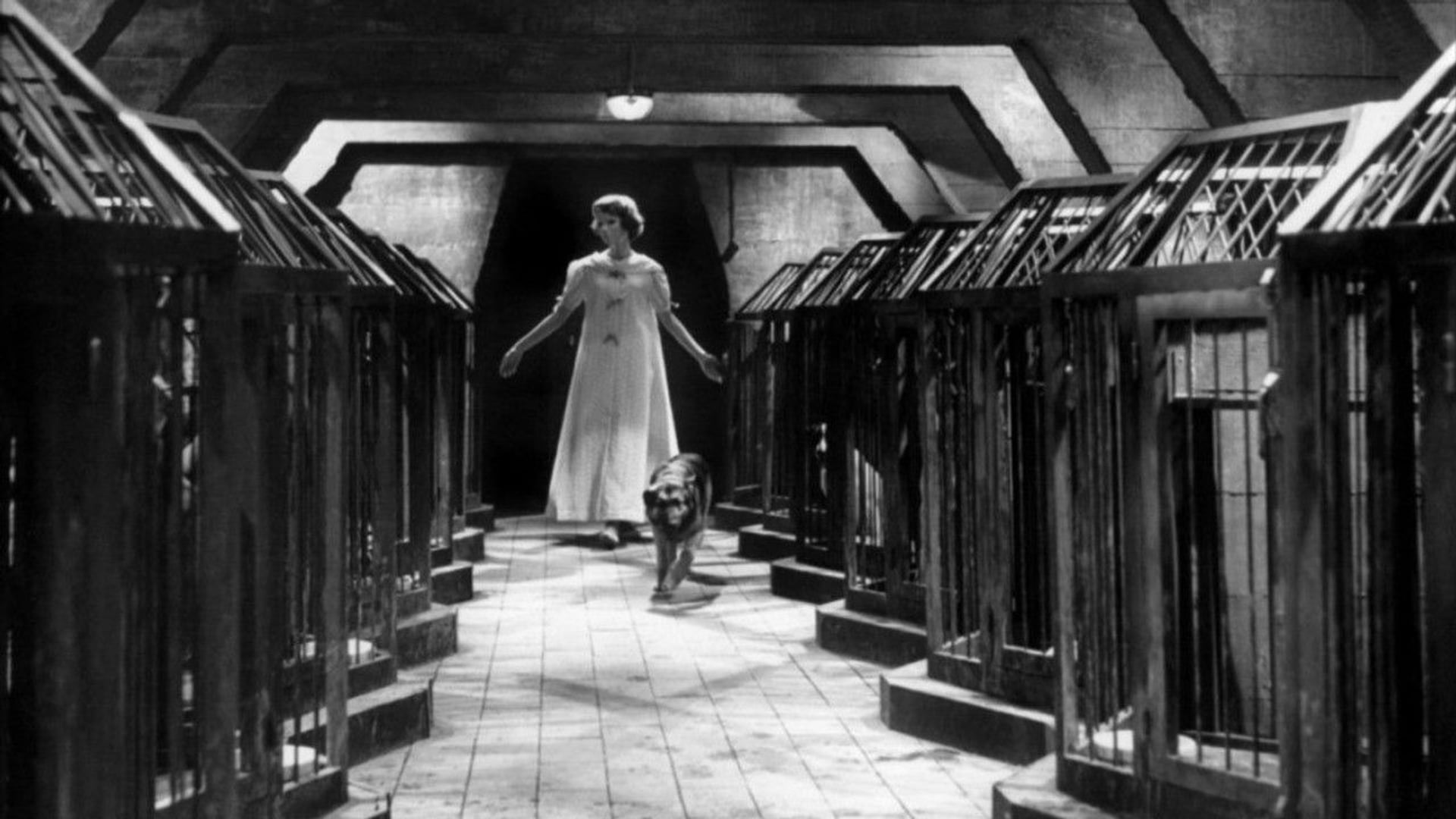 Foto do filme Os Olhos Sem Rosto