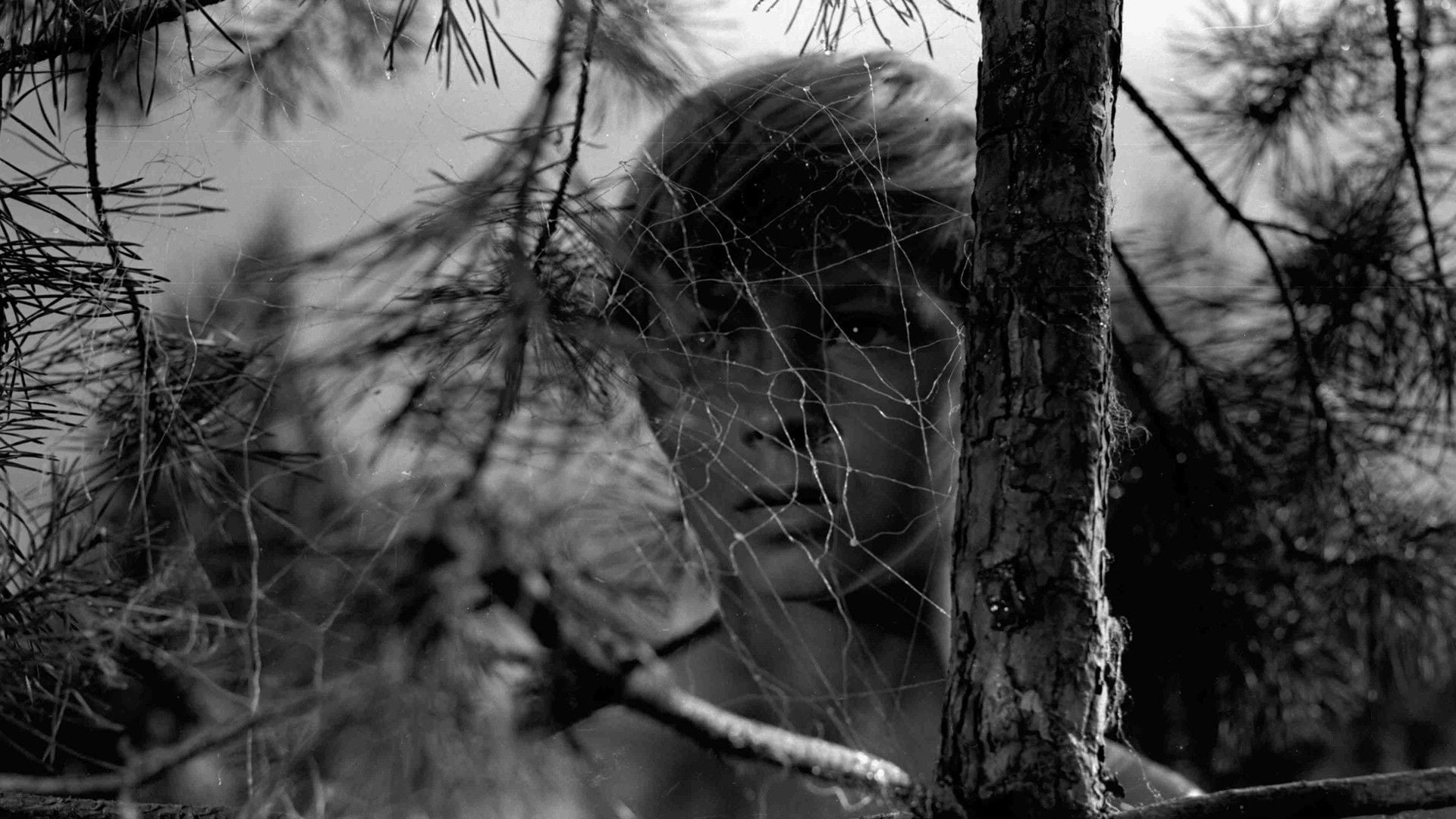 Foto do filme A Infância de Ivan