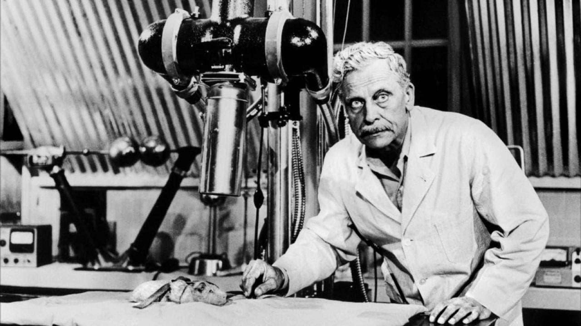 Foto do filme O Fantástico Homem Transparente