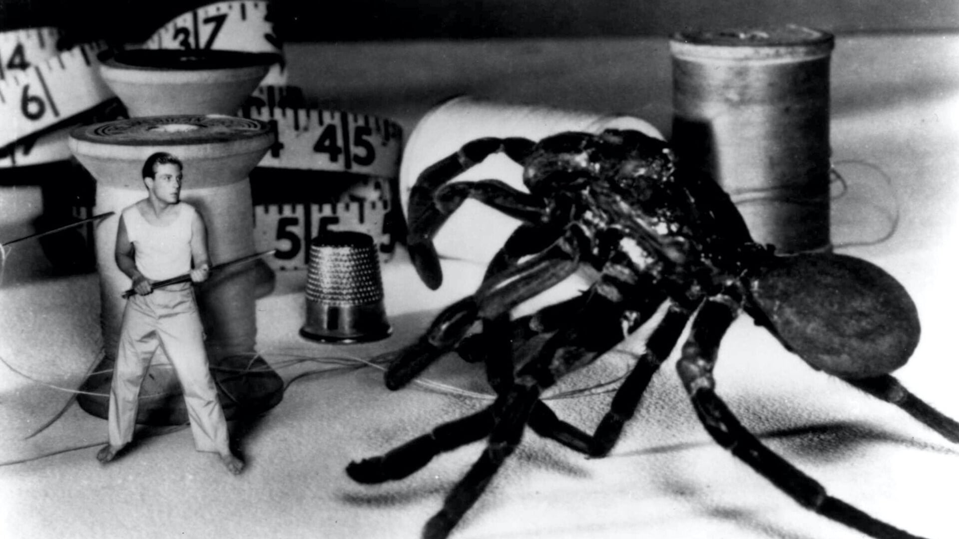 Foto do filme O Incrível Homem Que Encolheu