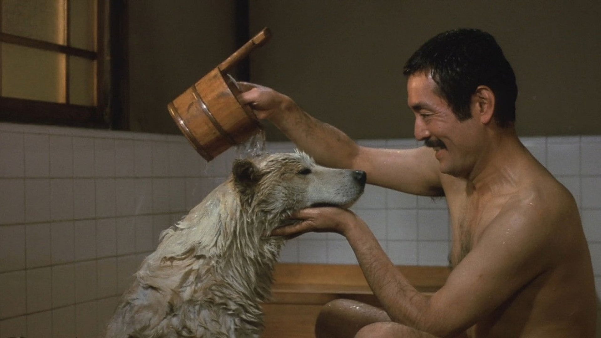 Foto do filme A História de Hachiko