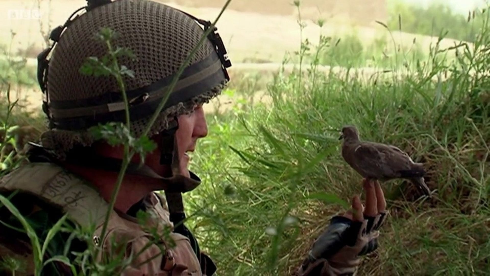 Foto do filme Bitter Lake