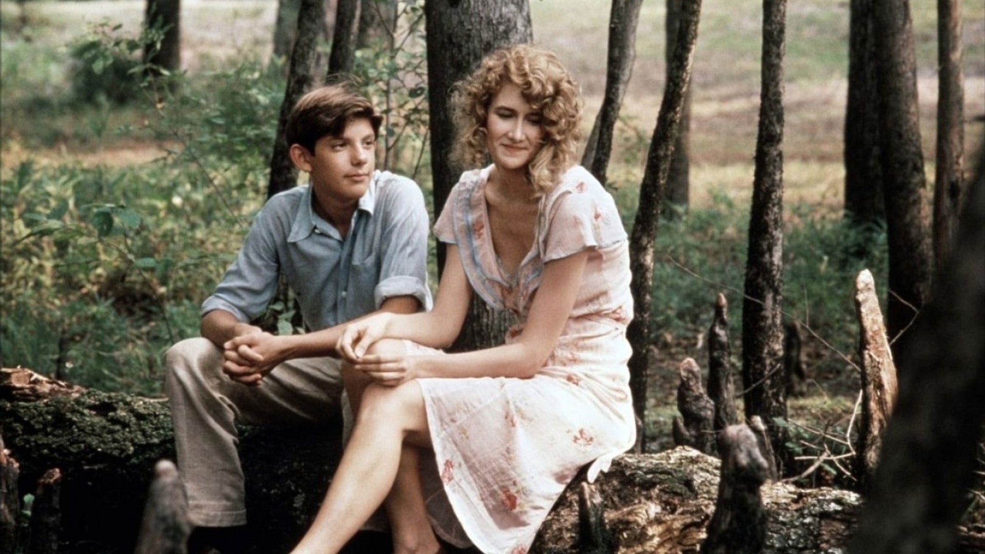 Foto do filme As Noites de Rose