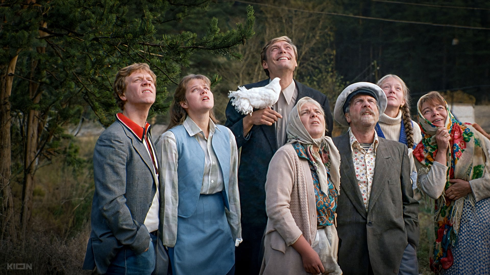 Foto do filme Love and Pigeons