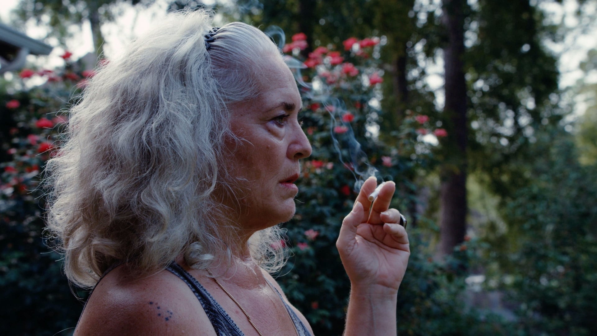 Foto do filme Krisha