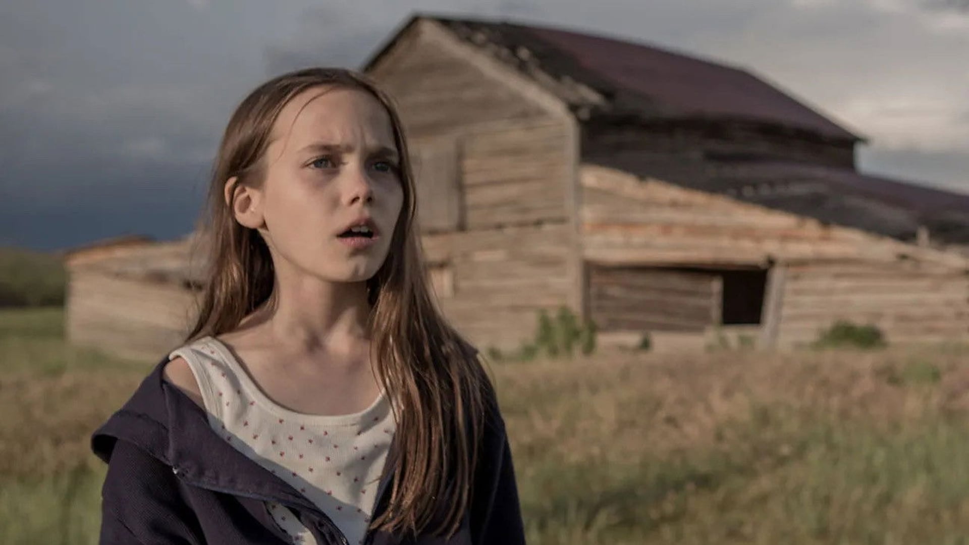 Foto do filme Lamb
