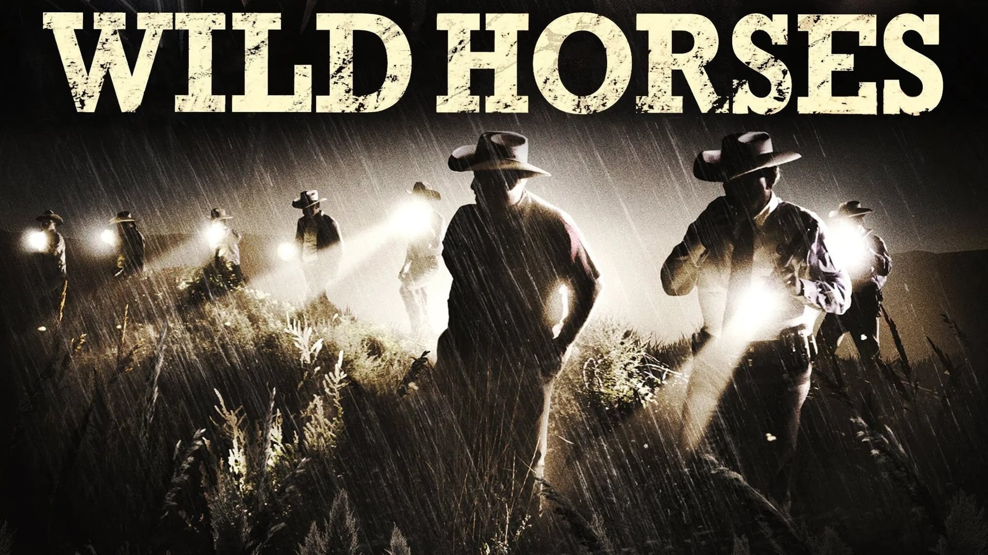 Foto do filme Cavalos Selvagens