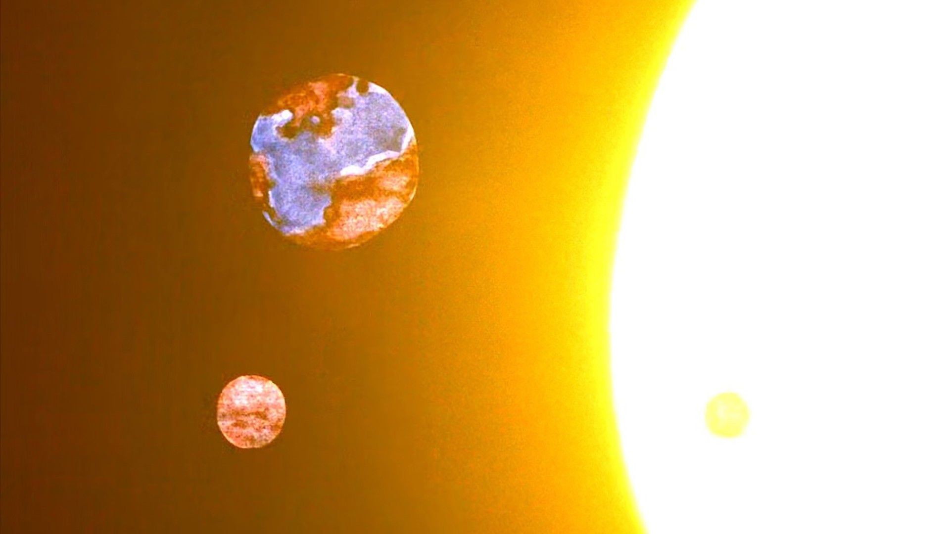 Foto do filme The Meaning of Life