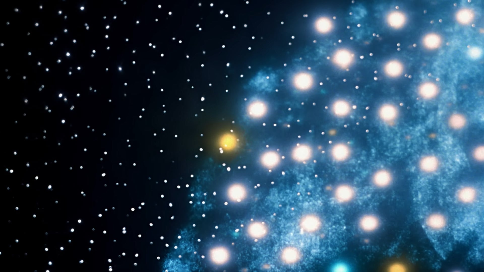 Foto do filme The Meaning of Life