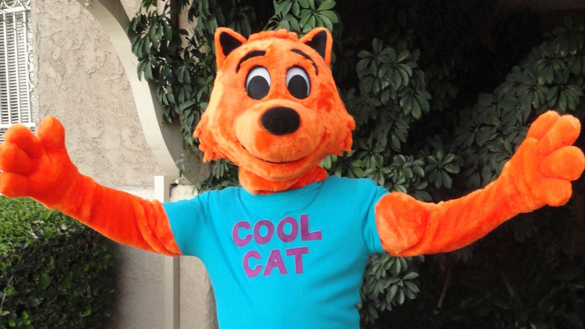 Foto do filme Cool Cat Saves the Kids