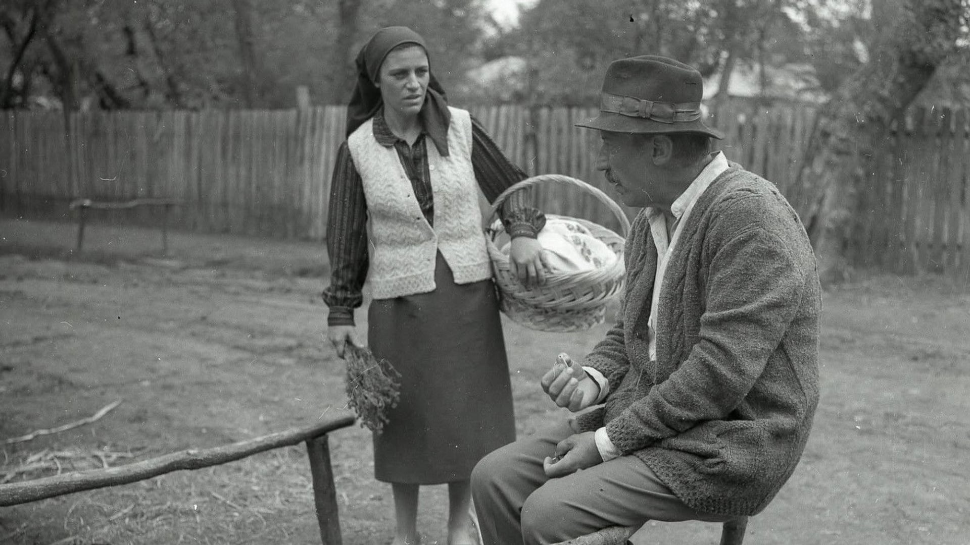 Foto do filme Moromeții
