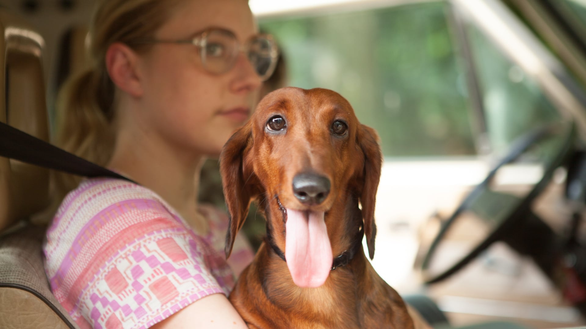 Foto do filme Wiener-Dog