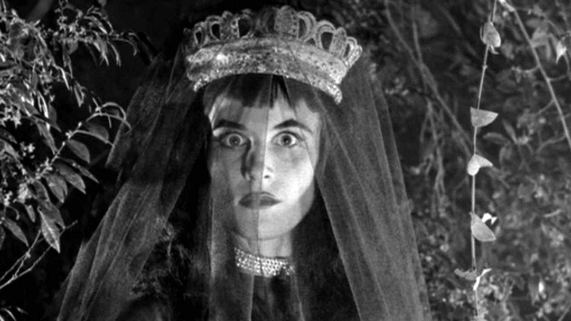 Foto do filme Revenge of the Dead